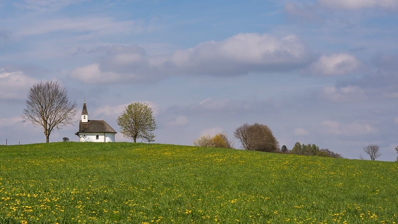 Mystic Meadows